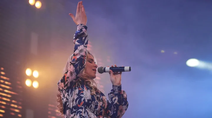 vocal_1_yolo.jpg